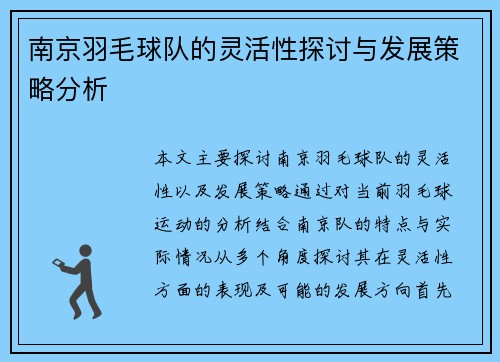 南京羽毛球队的灵活性探讨与发展策略分析